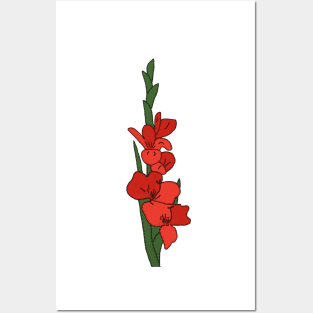 Gladiole Posters and Art